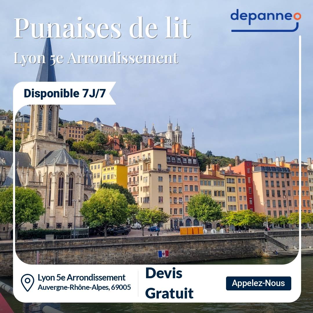 punaise de lit Lyon 5e Arrondissement