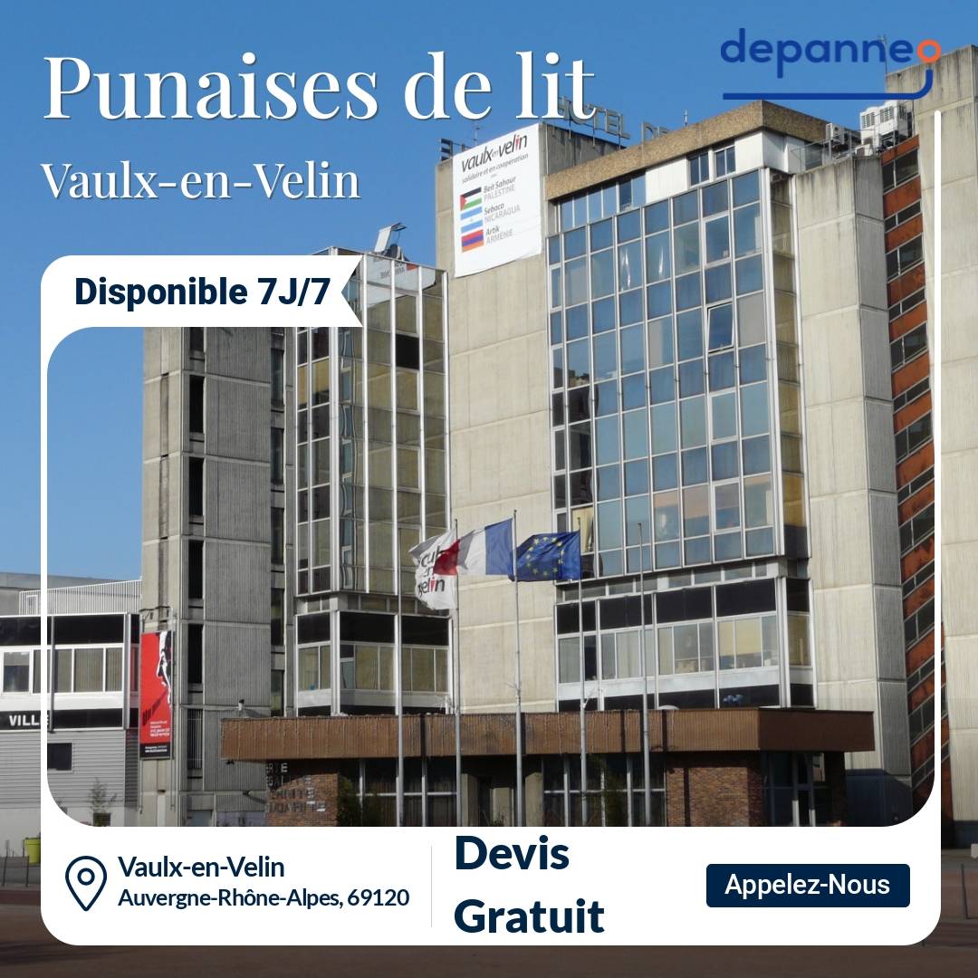 punaise de lit Vaulx-en-Velin