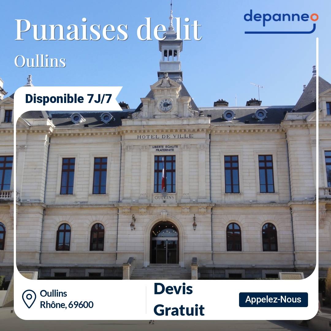 punaise de lit Oullins