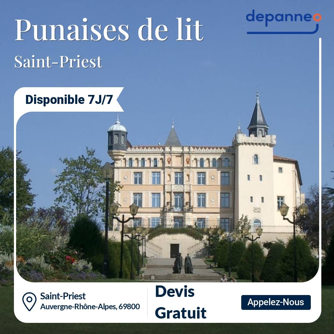 punaise de lit Saint-Priest