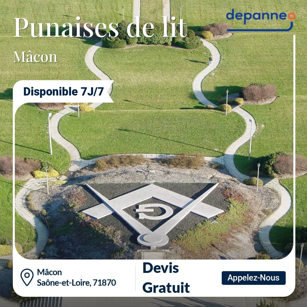 punaise de lit Mâcon