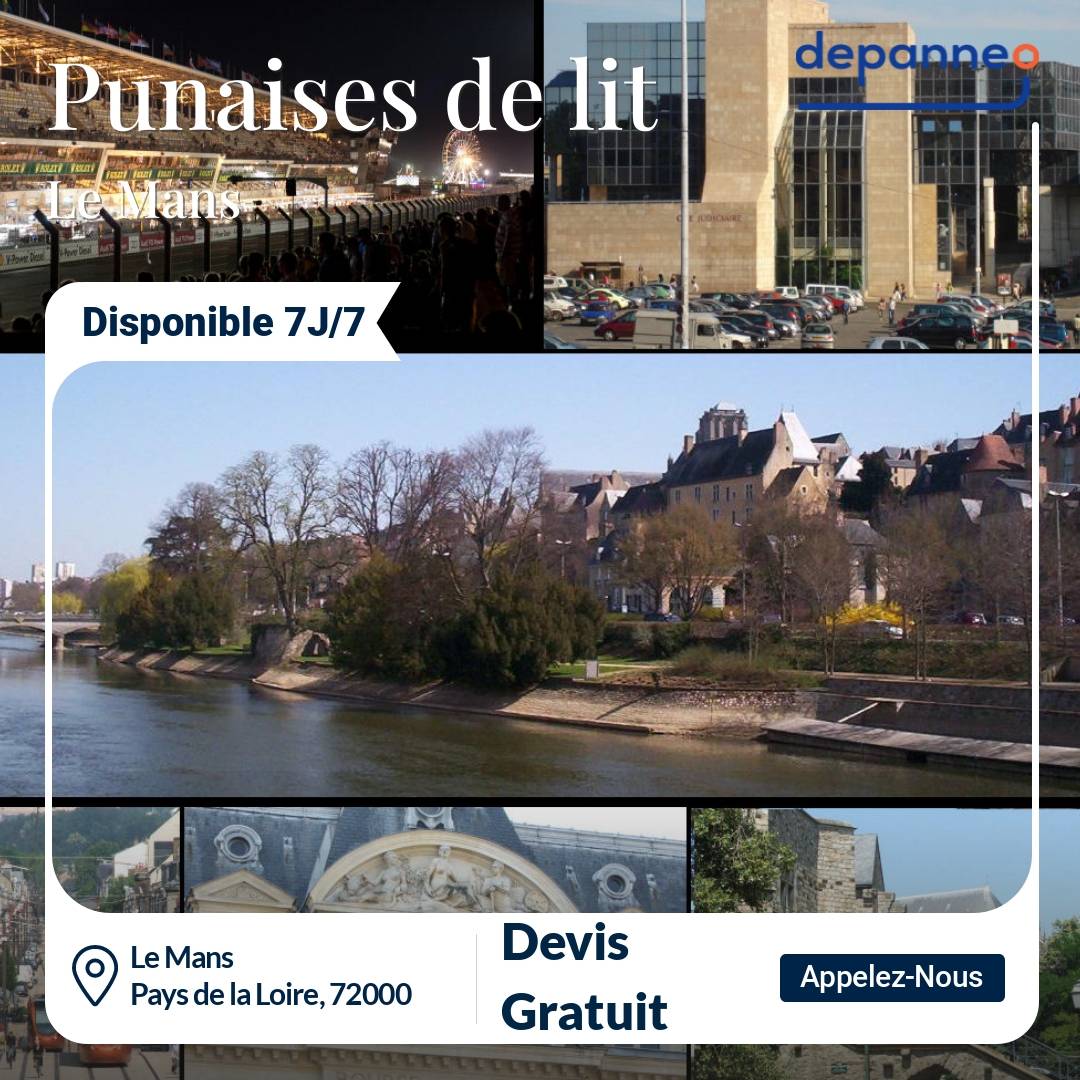 punaise de lit Le Mans