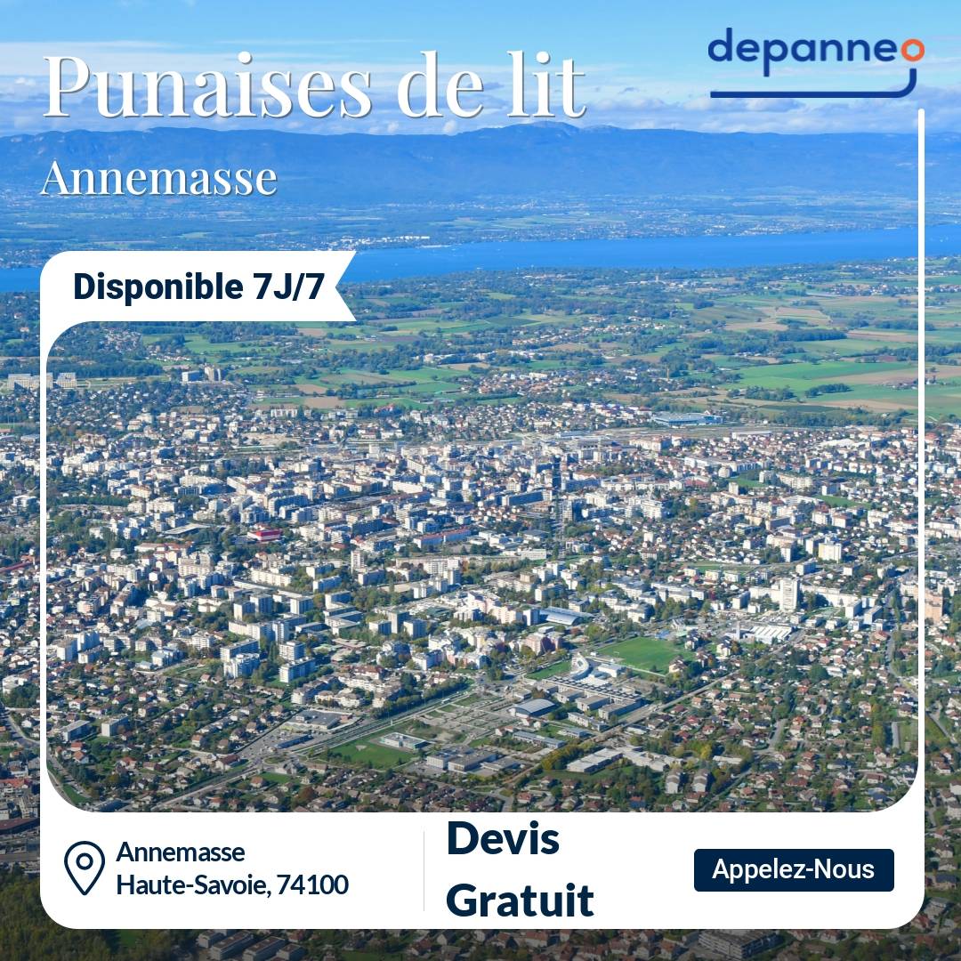 punaise de lit Annemasse