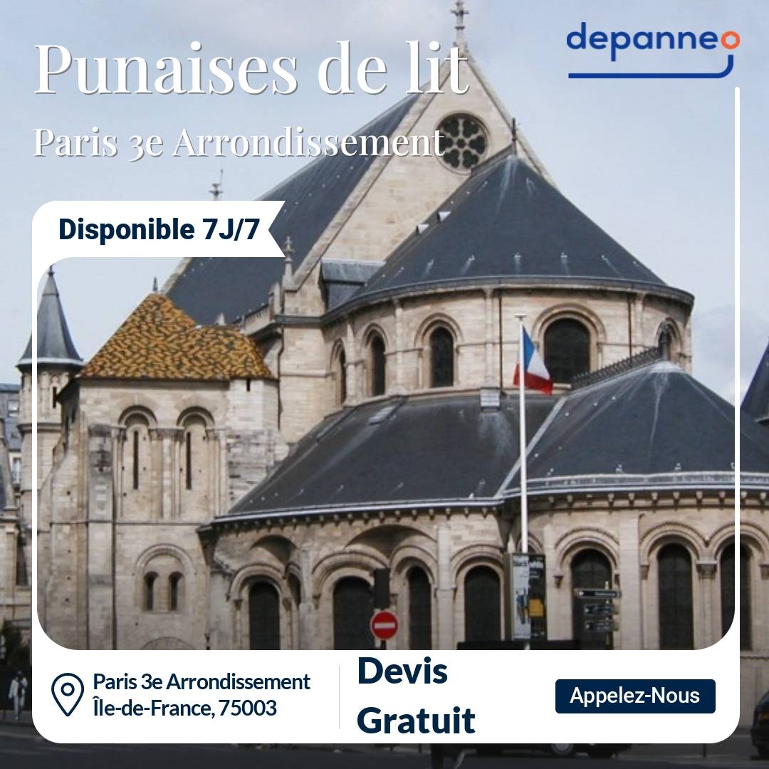 punaise de lit Paris 3e Arrondissement