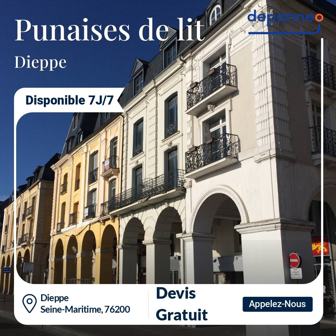 punaise de lit Dieppe