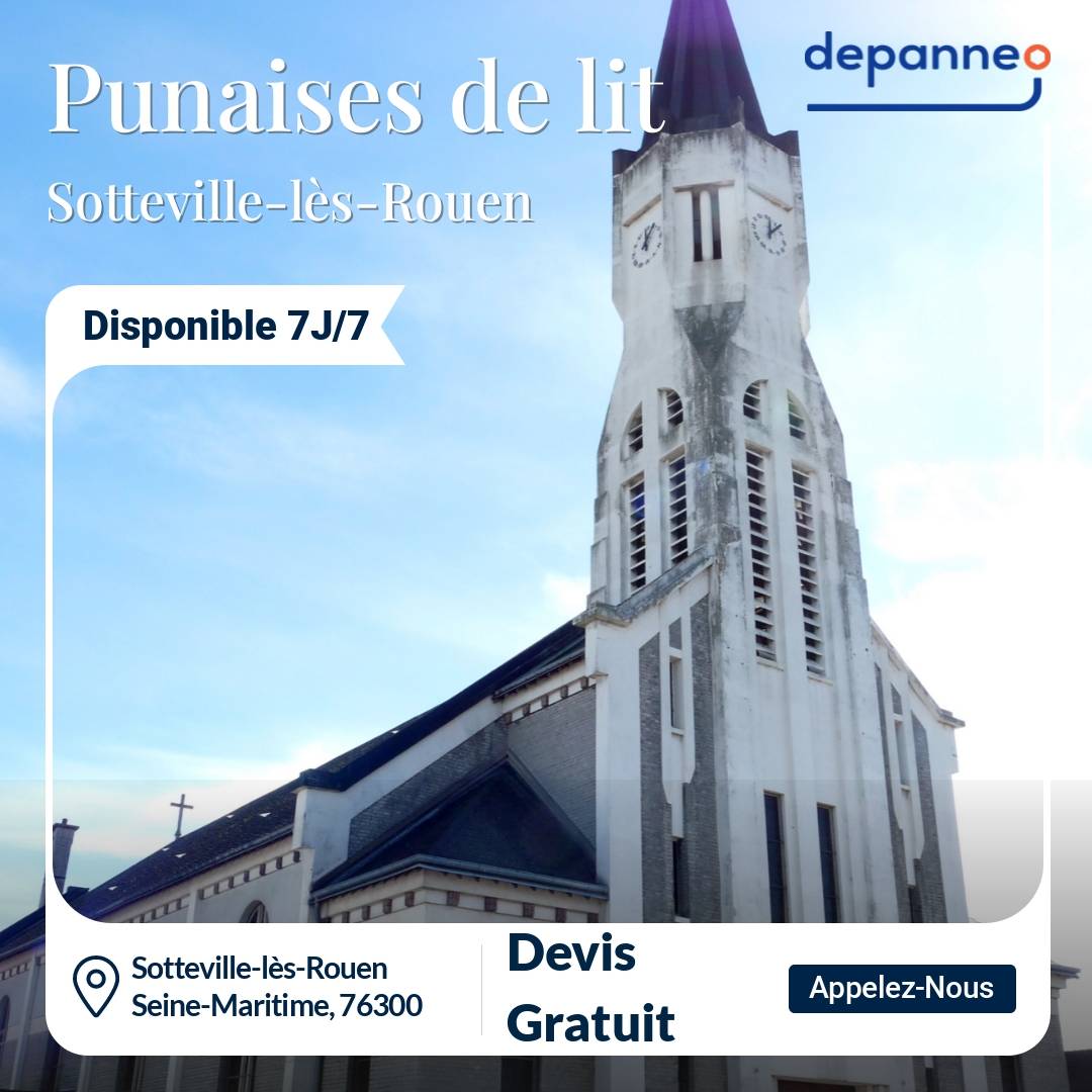 punaise de lit Sotteville-lès-Rouen