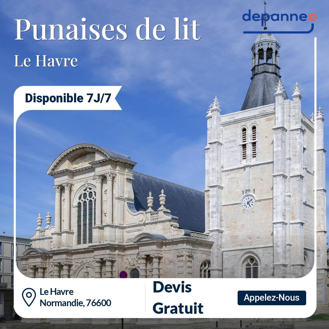 punaise de lit Le Havre