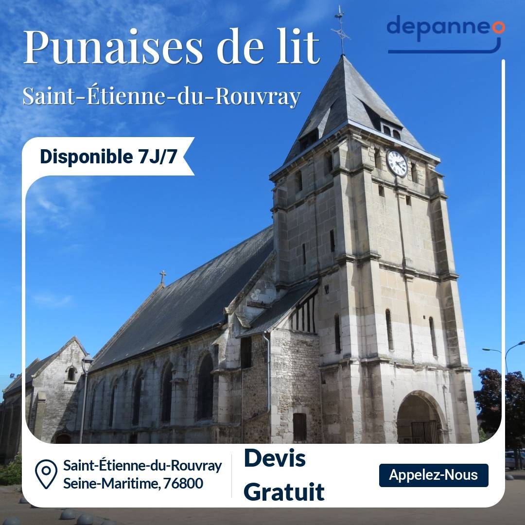 punaise de lit Saint-Étienne-du-Rouvray