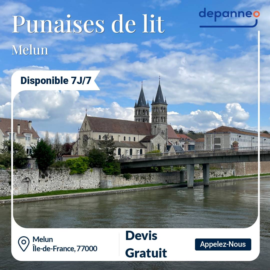 punaise de lit Melun