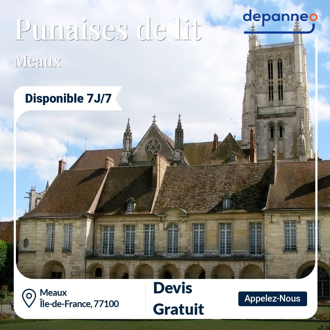 punaise de lit Meaux