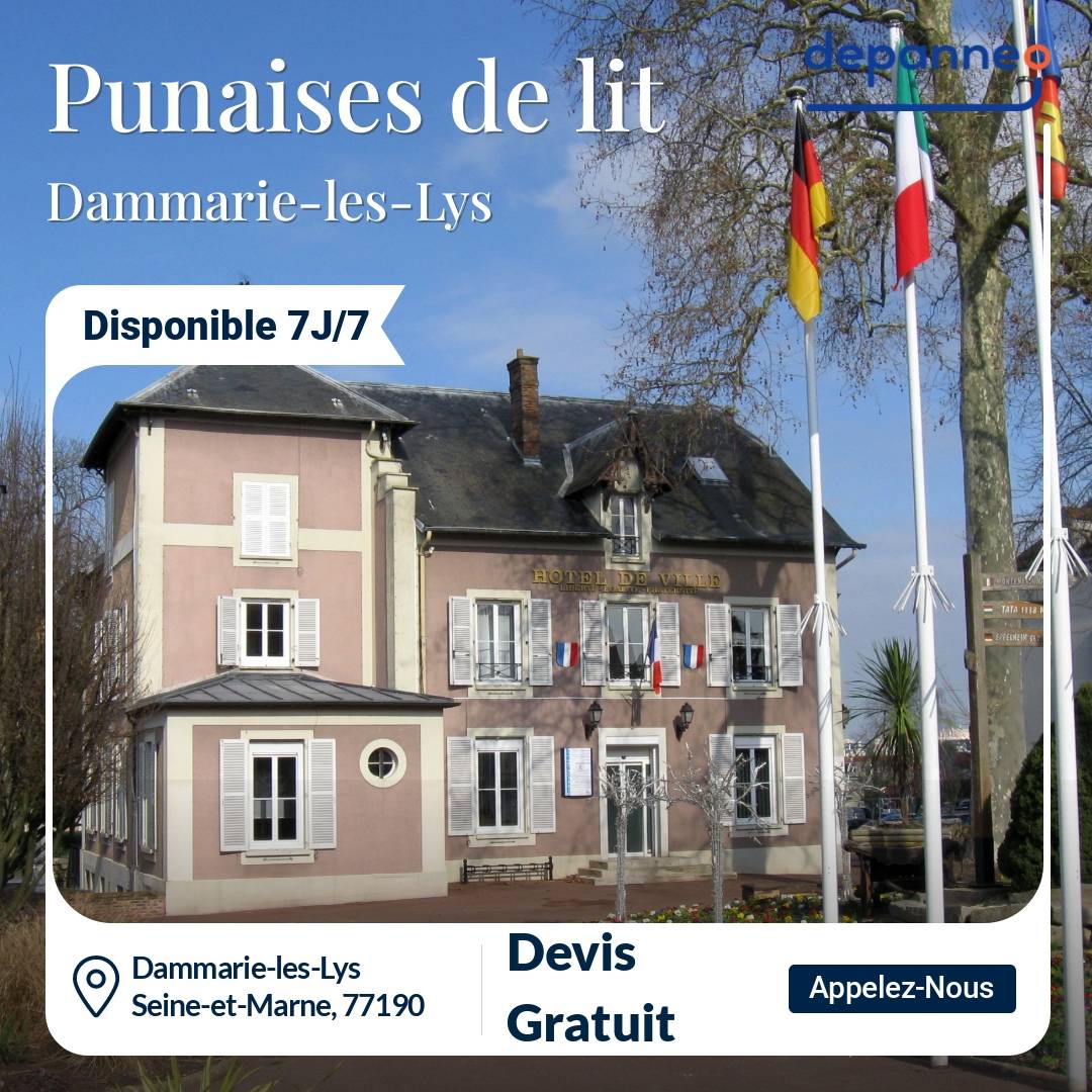 punaise de lit Dammarie-les-Lys