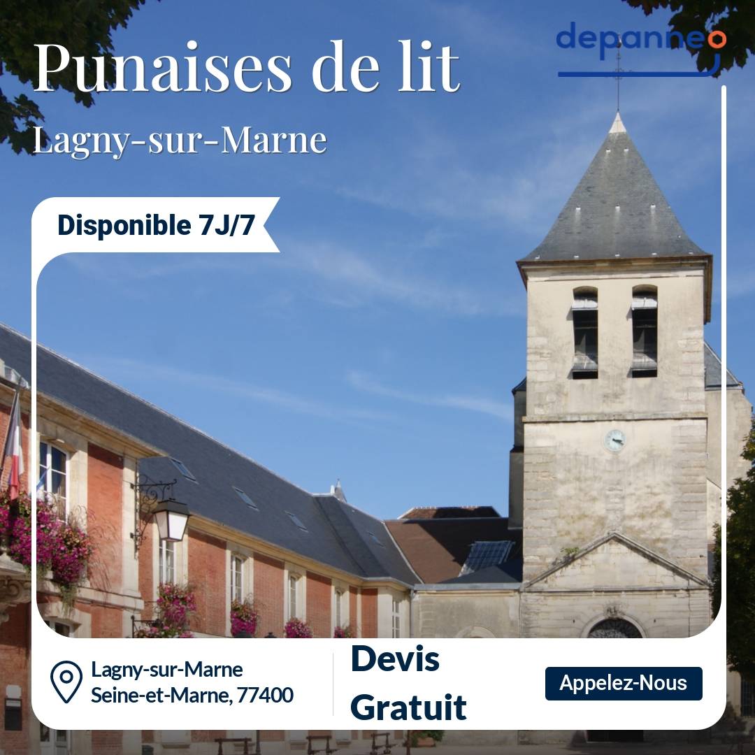 punaise de lit Lagny-sur-Marne