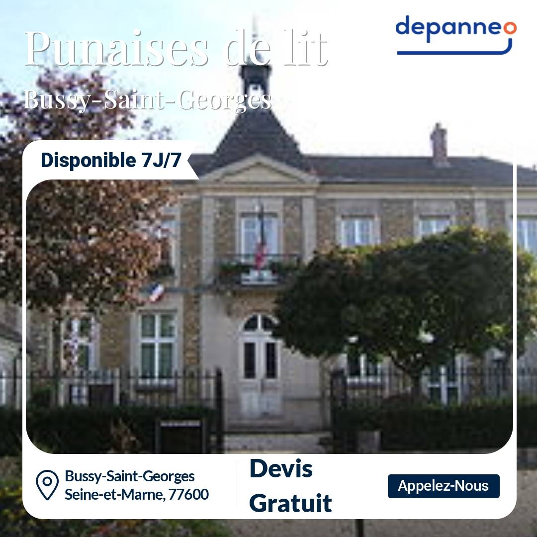 punaise de lit Bussy-Saint-Georges
