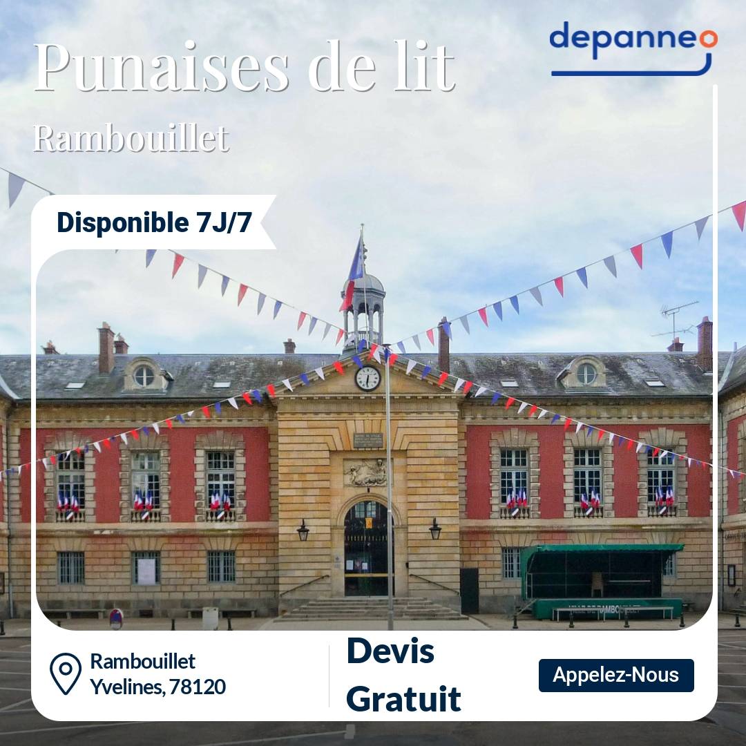 punaise de lit Rambouillet