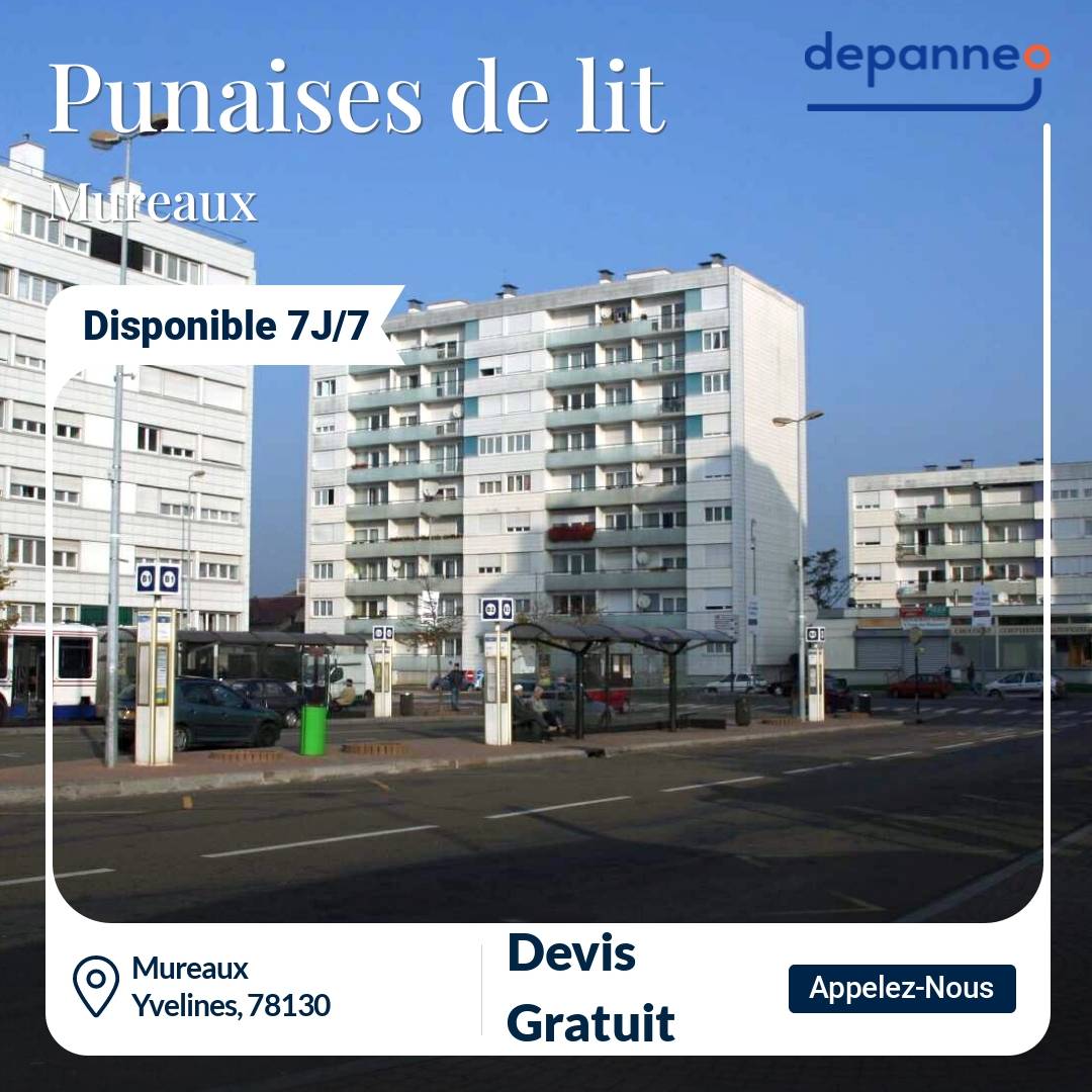 punaise de lit Mureaux