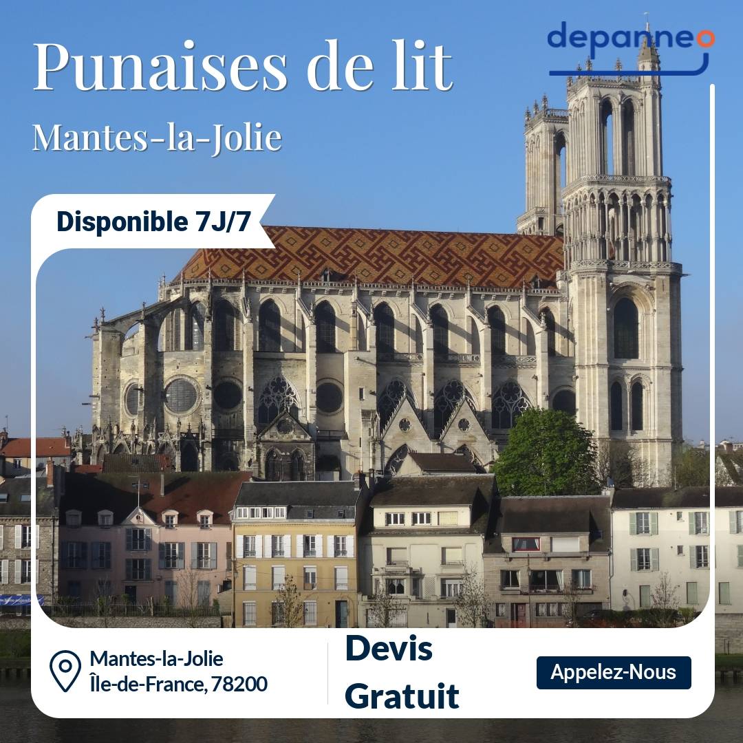 punaise de lit Mantes-la-Jolie