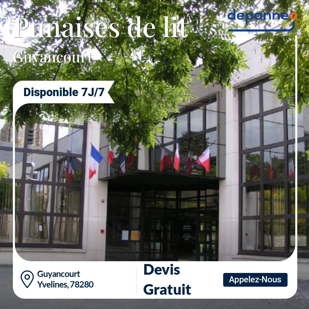 punaise de lit Guyancourt