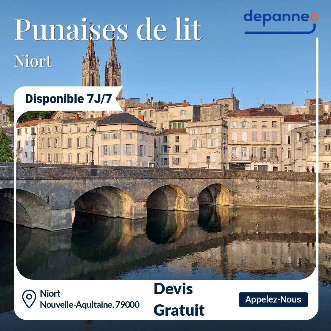 punaise de lit Niort