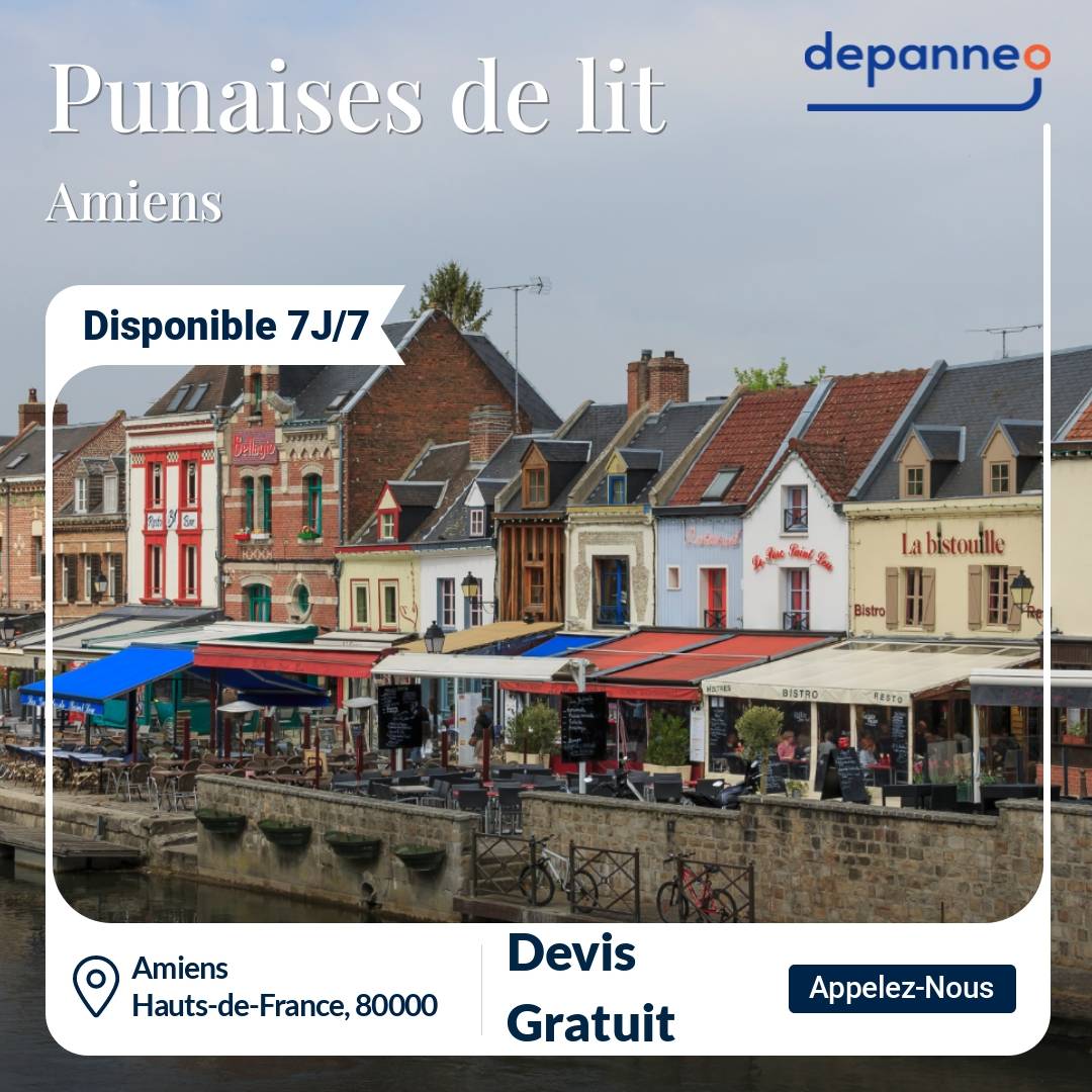 punaise de lit Amiens