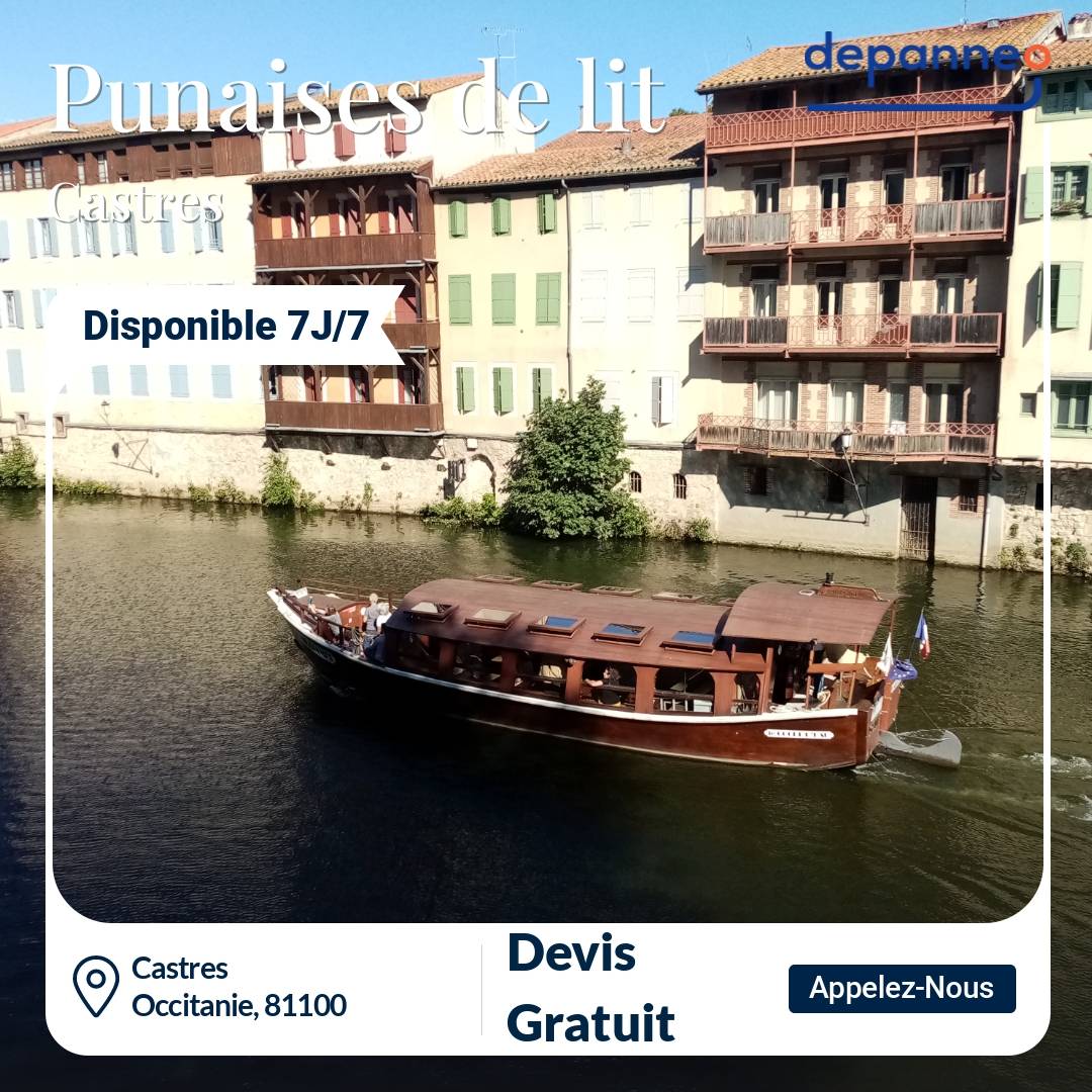 punaise de lit Castres