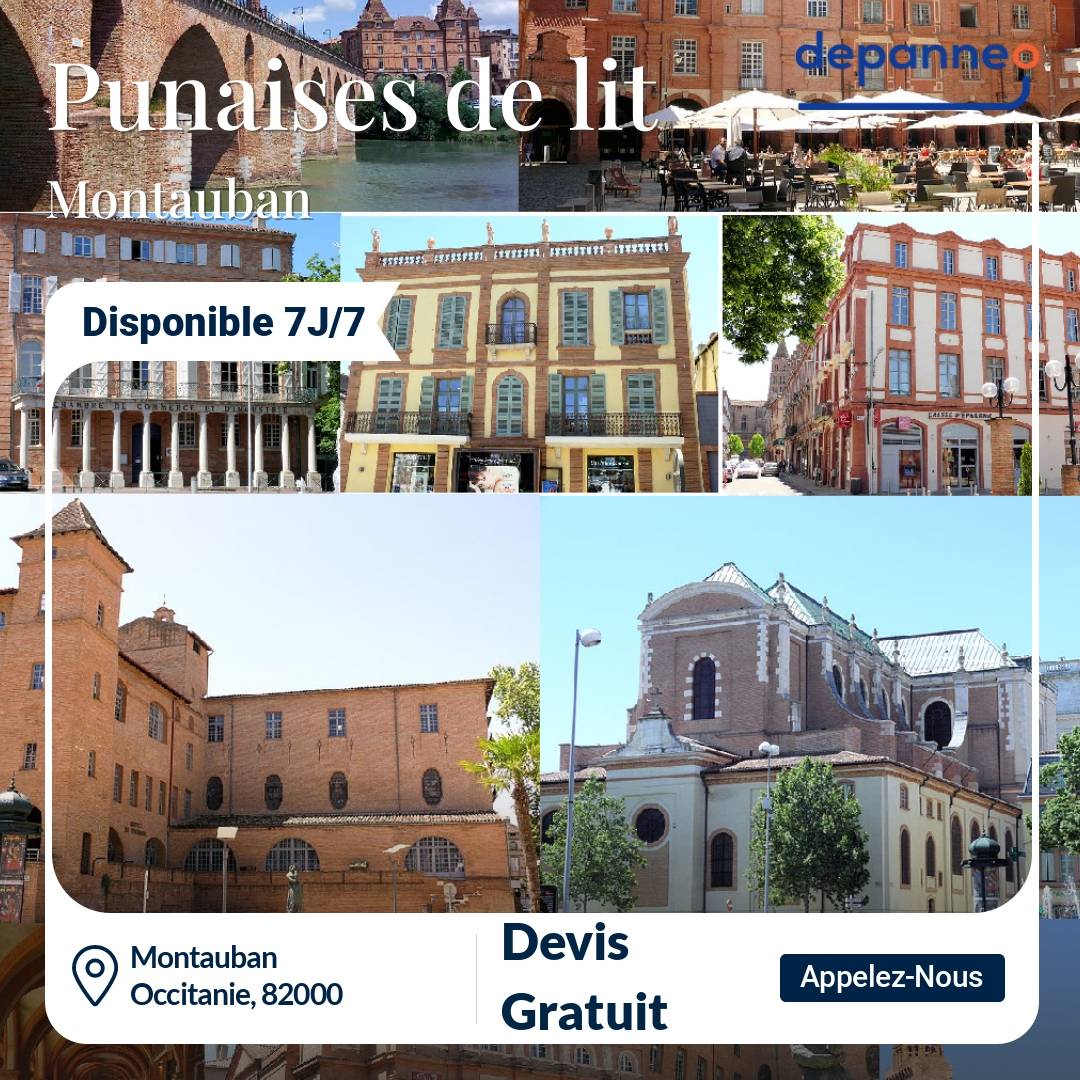 punaise de lit Montauban