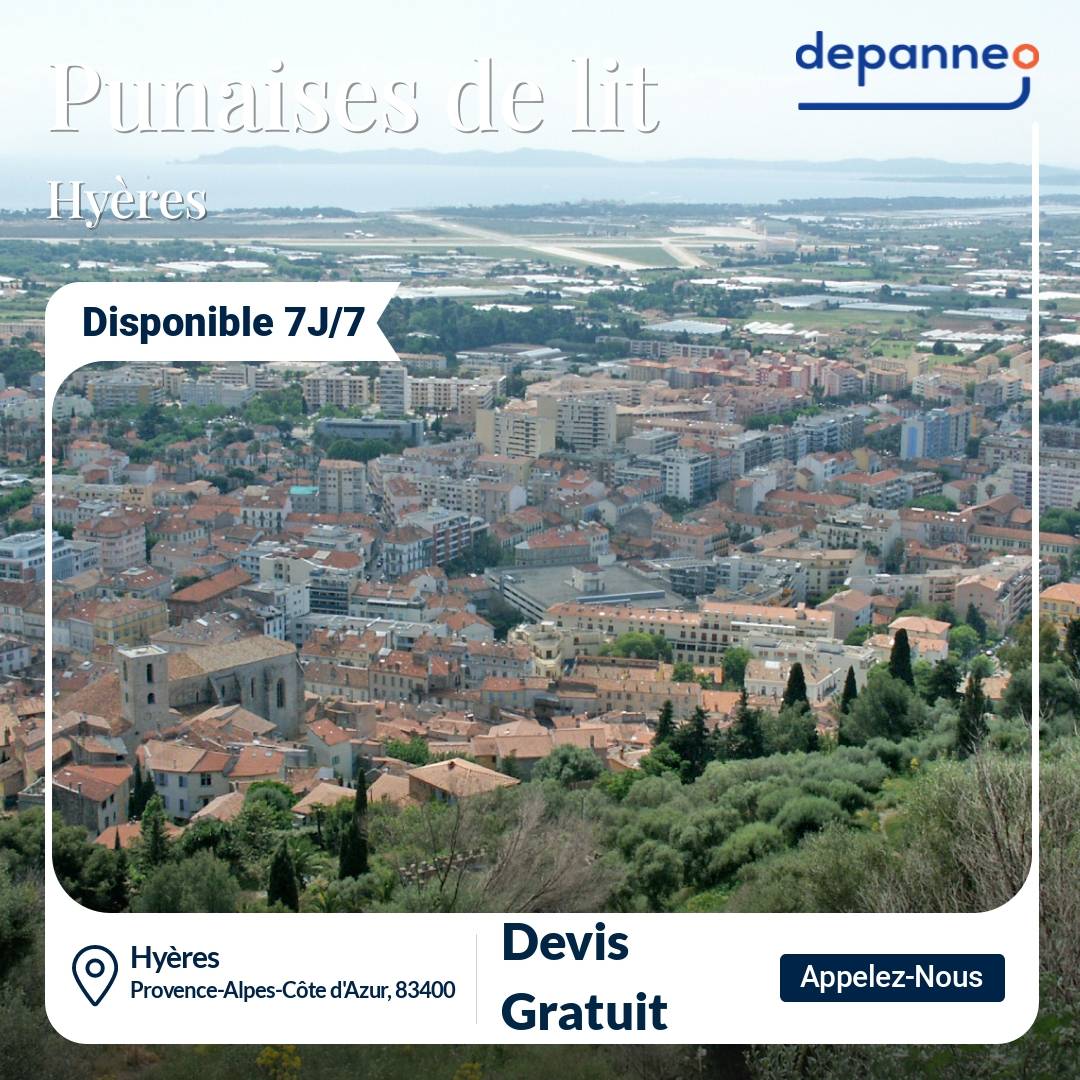 punaise de lit Hyères