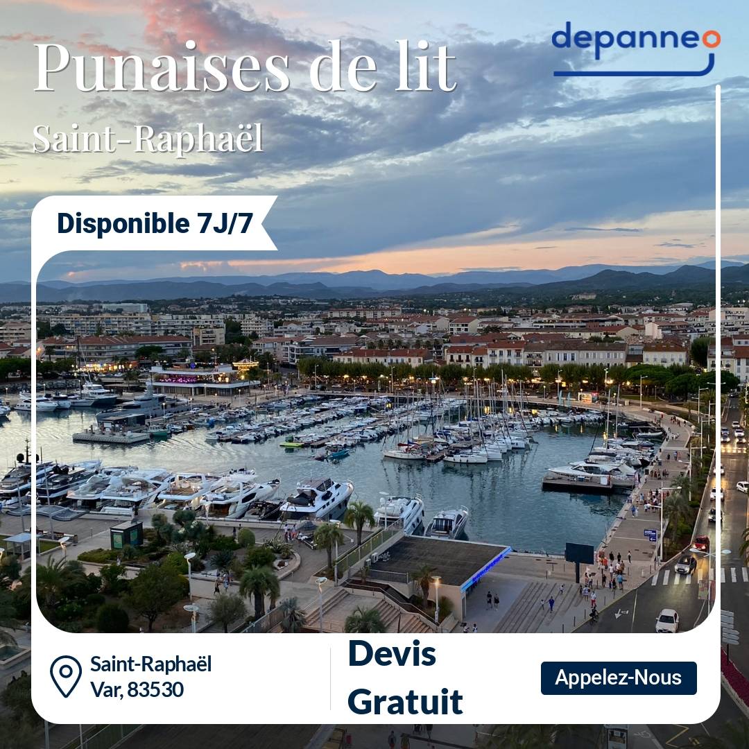punaise de lit Saint-Raphaël