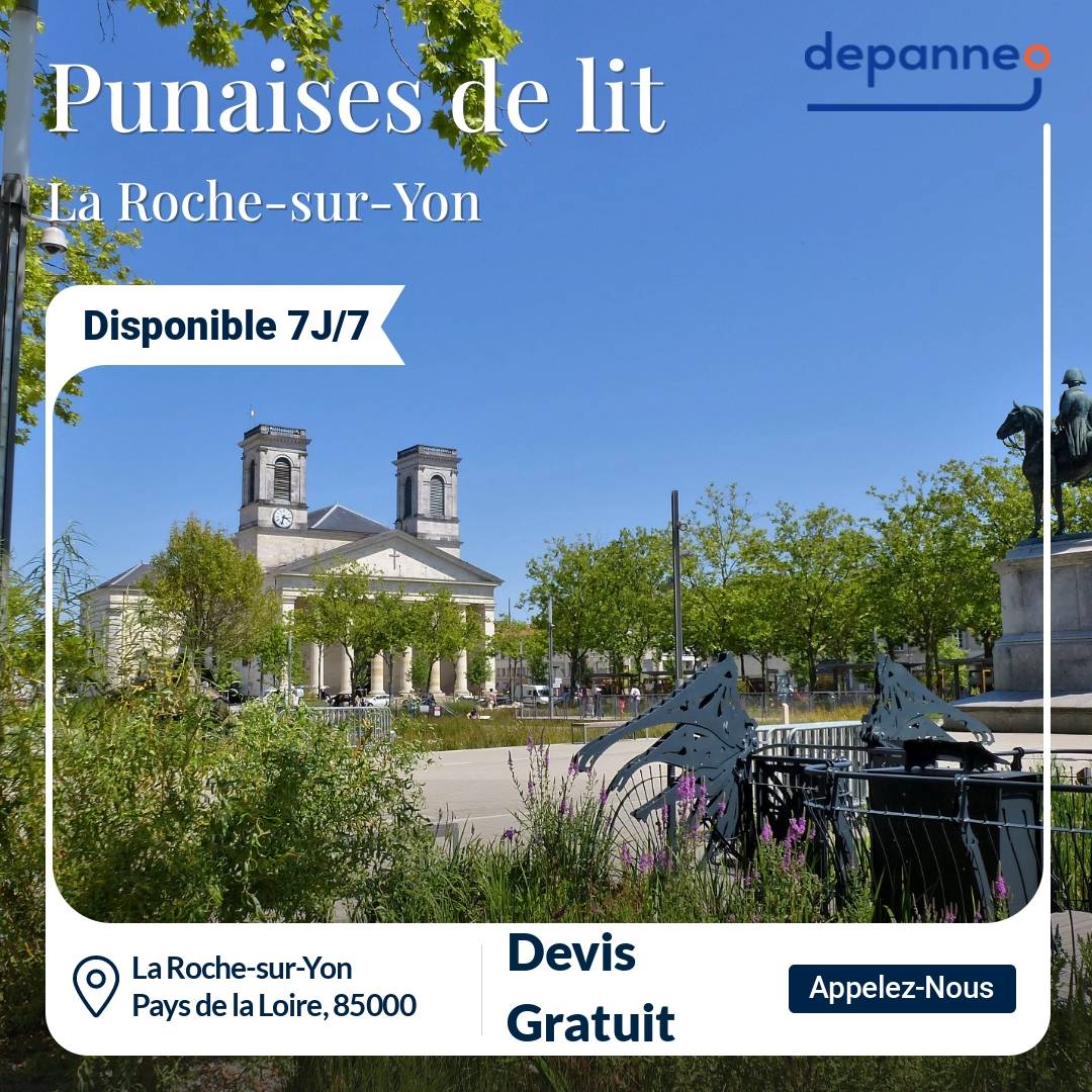 punaise de lit La Roche-sur-Yon