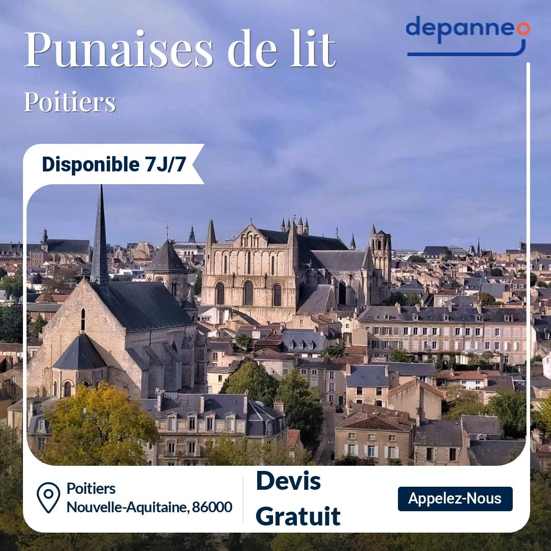 punaise de lit Poitiers