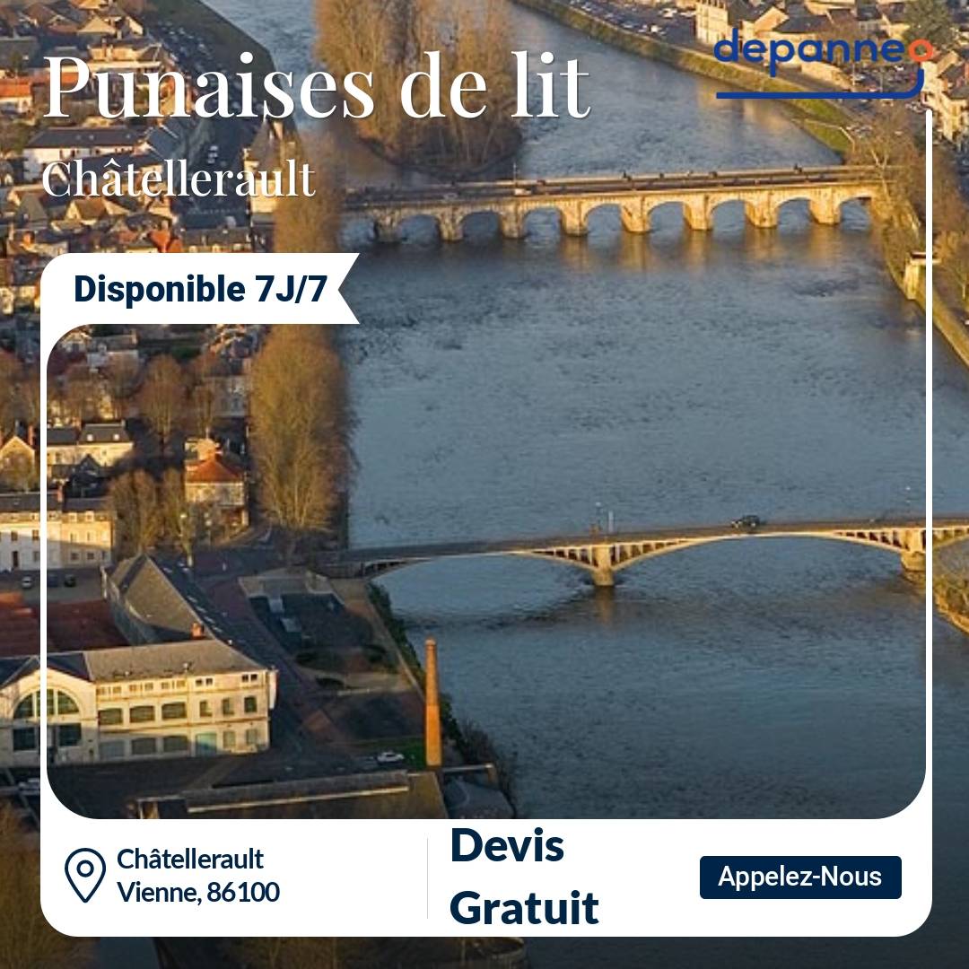 punaise de lit Châtellerault