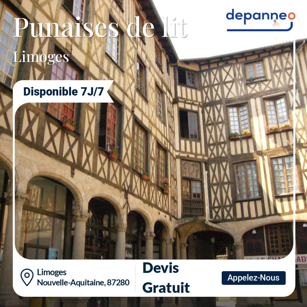 punaise de lit Limoges