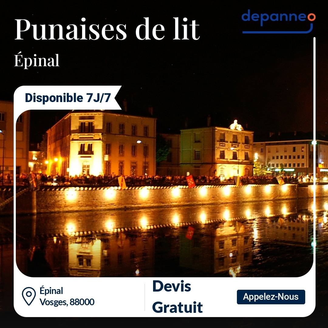 punaise de lit Épinal