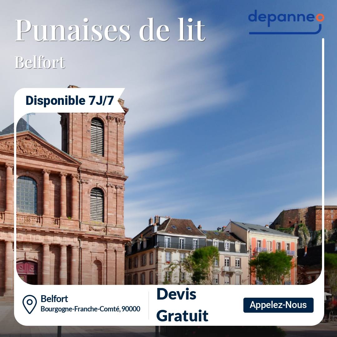 punaise de lit Belfort