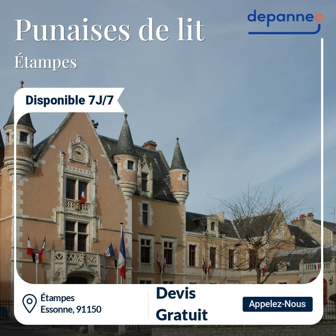punaise de lit Étampes