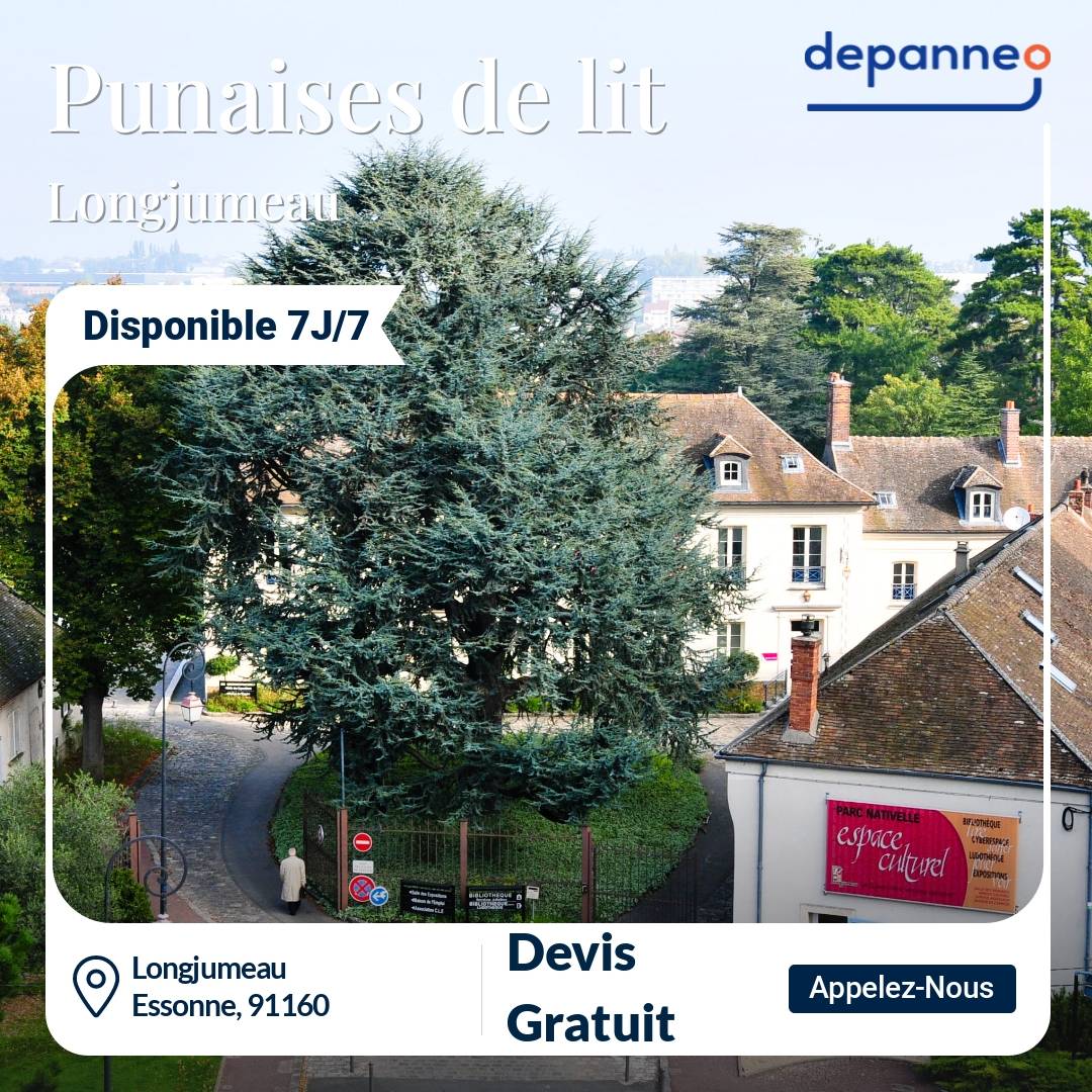 punaise de lit Longjumeau