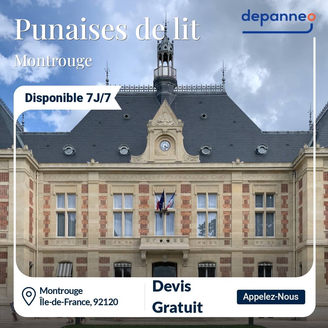 punaise de lit Montrouge