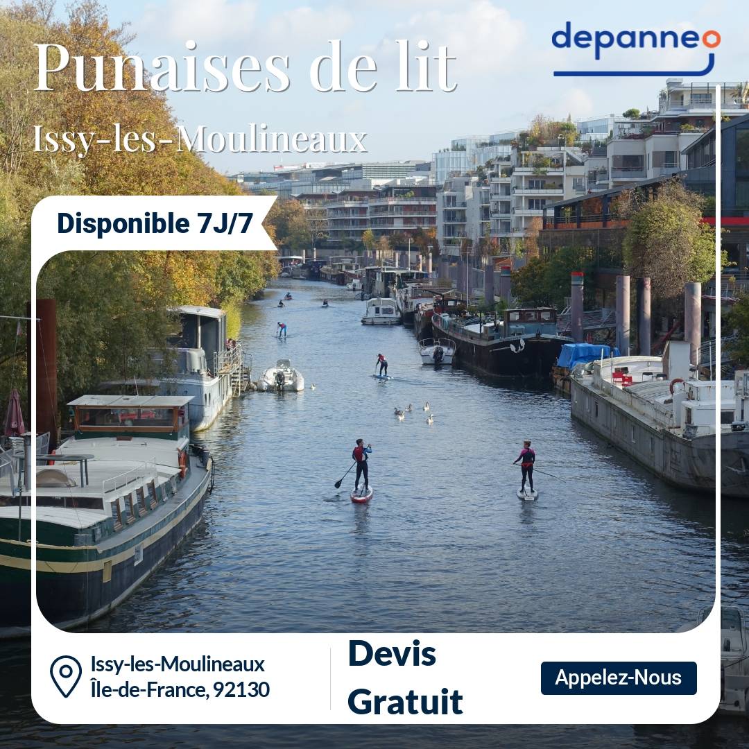 punaise de lit Issy-les-Moulineaux