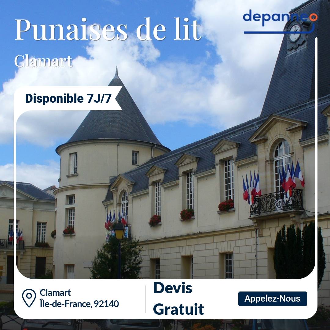 punaise de lit Clamart