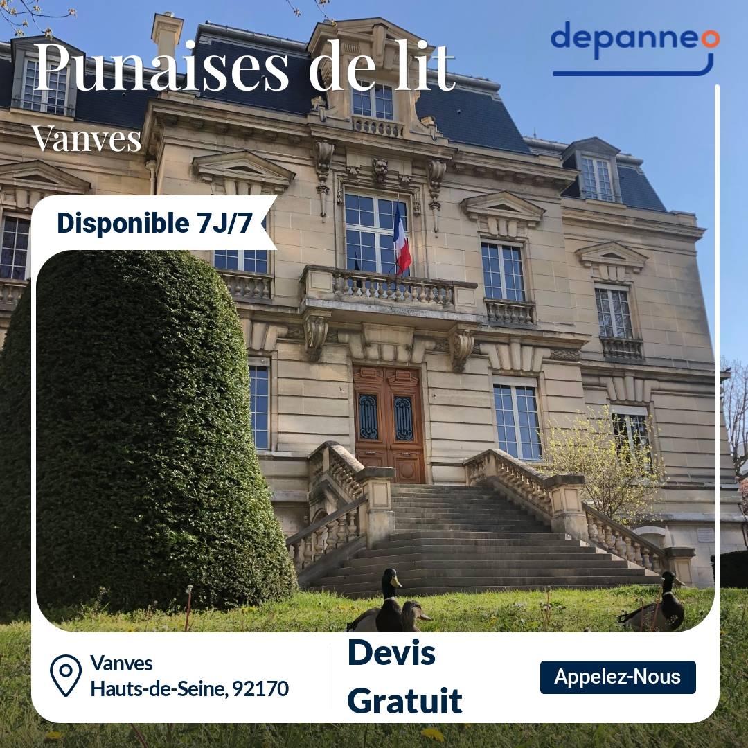 punaise de lit Vanves