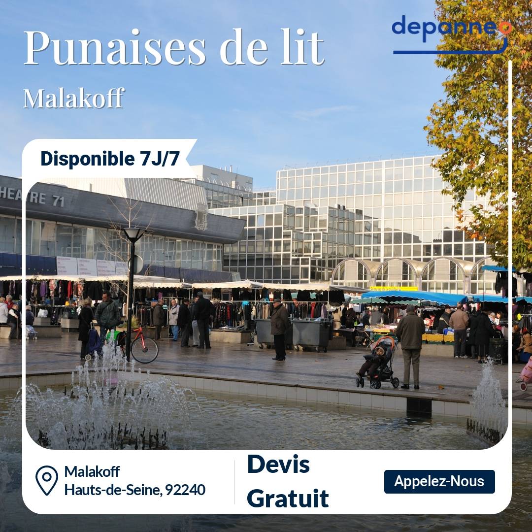 punaise de lit Malakoff