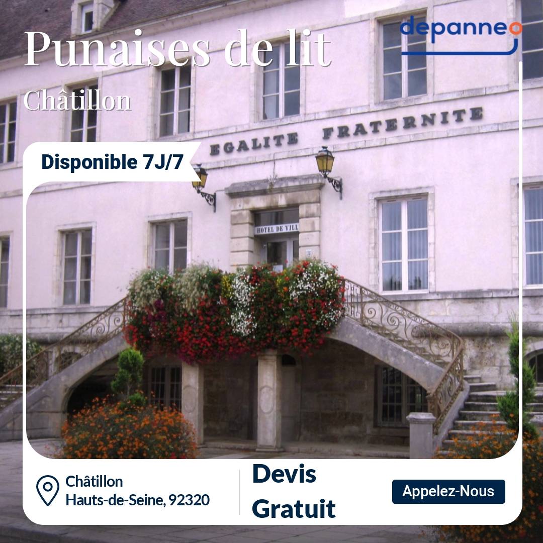 punaise de lit Châtillon