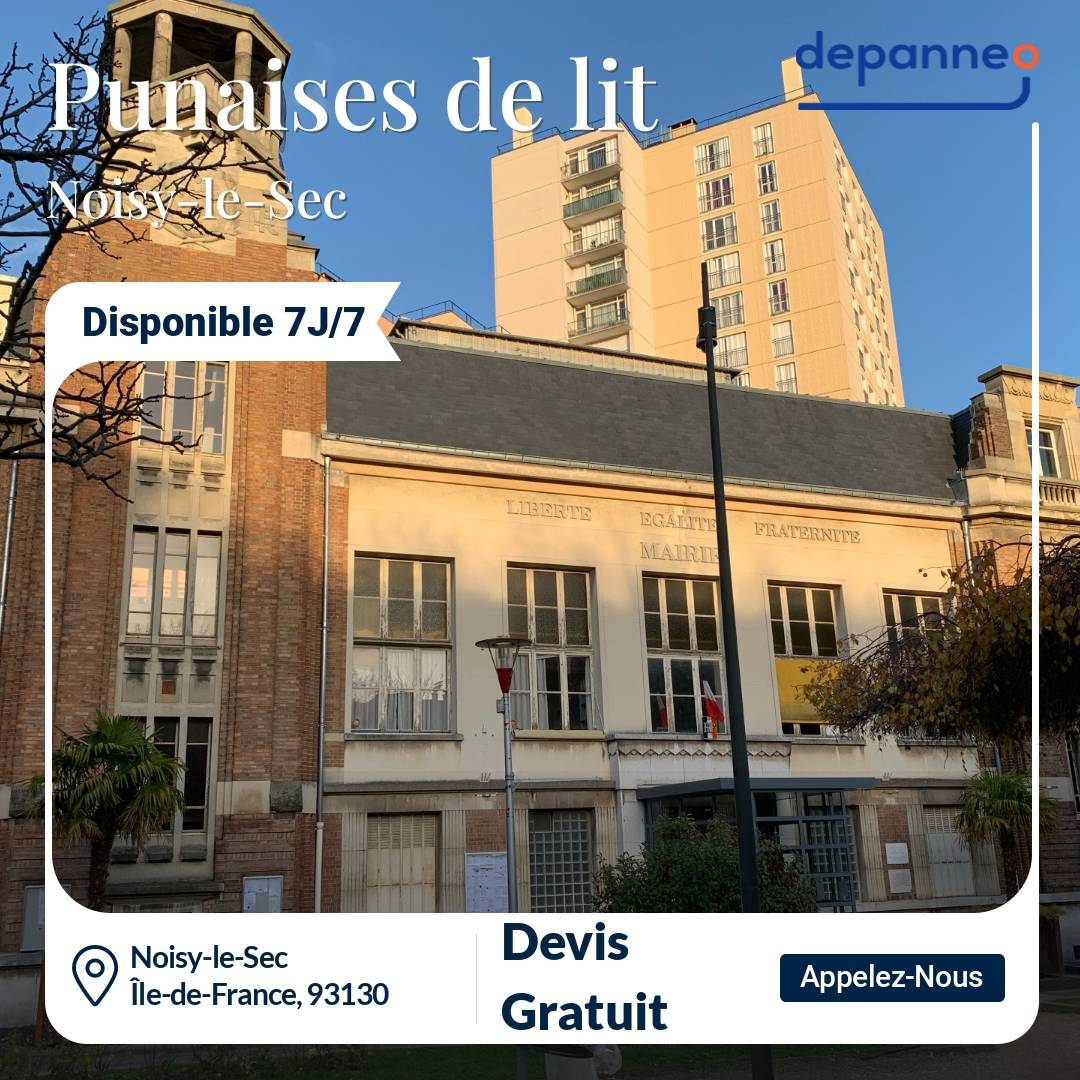 punaise de lit Noisy-le-Sec