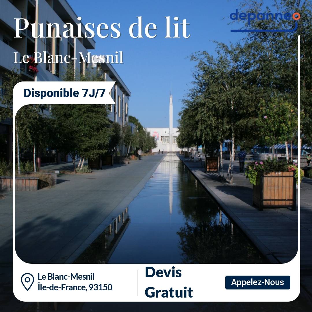 punaise de lit Le Blanc-Mesnil