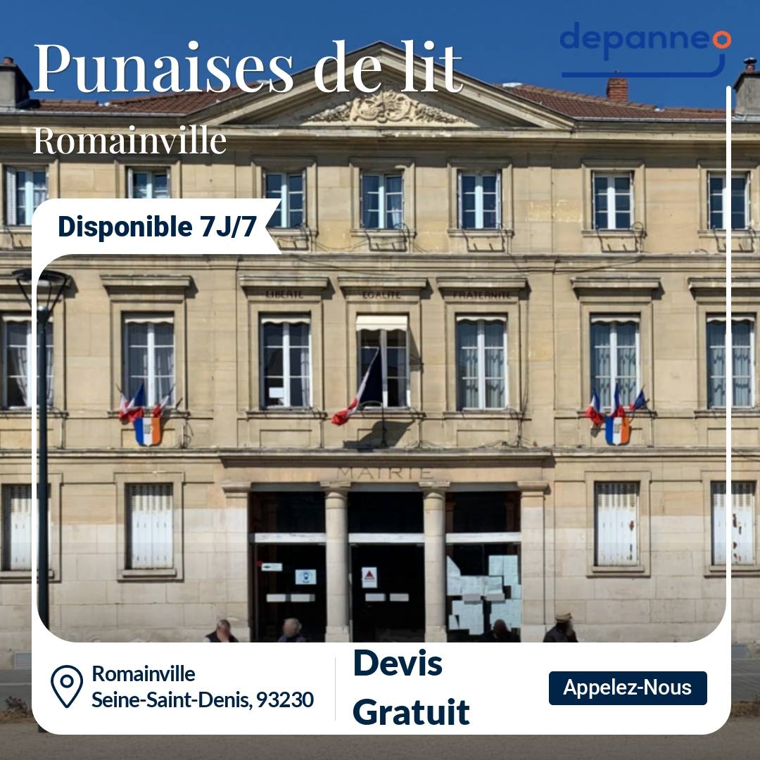 punaise de lit Romainville
