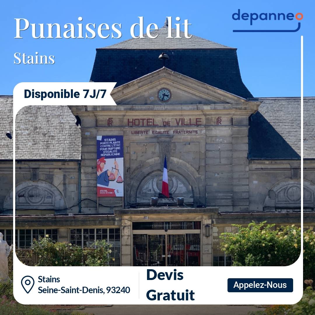 punaise de lit Stains