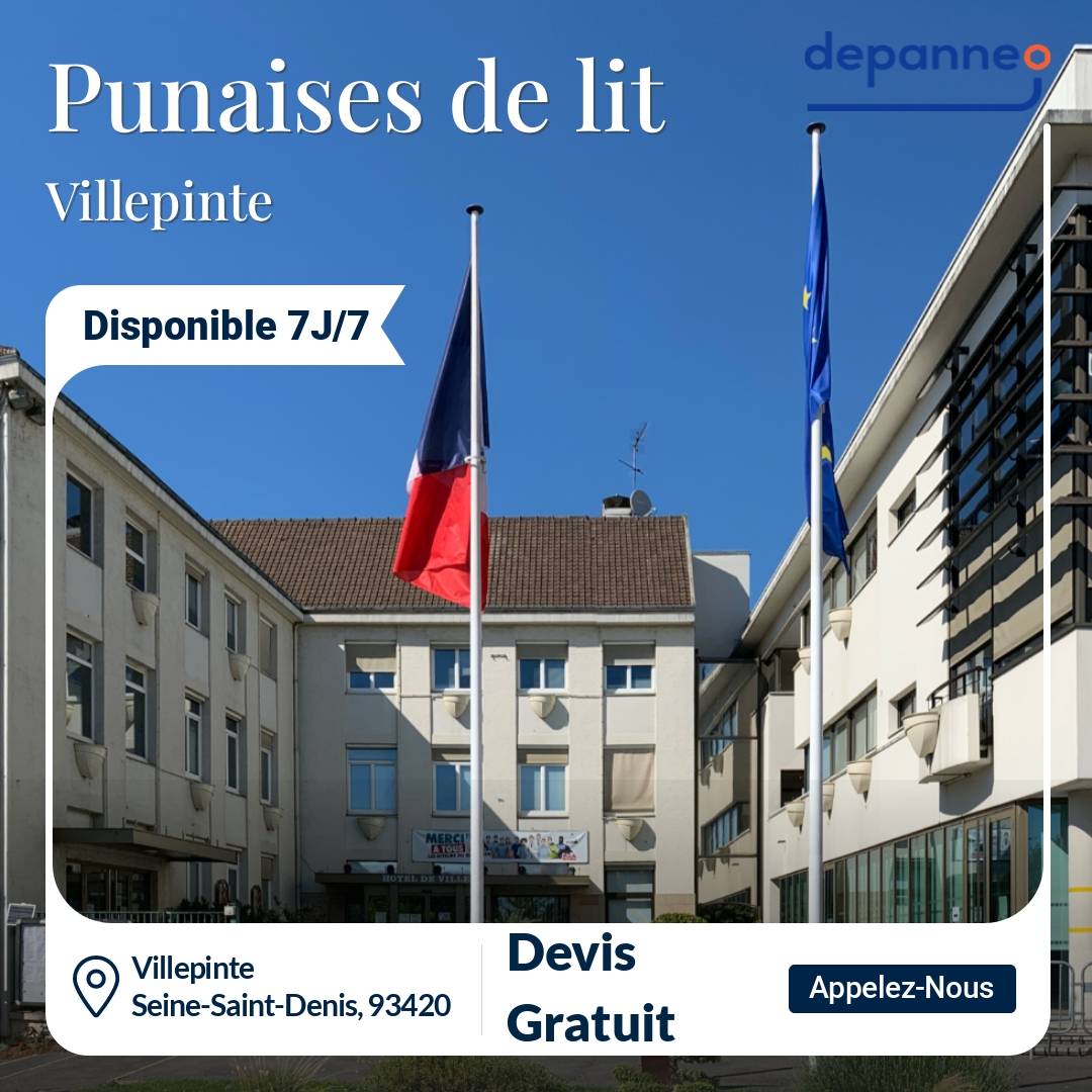 punaise de lit Villepinte