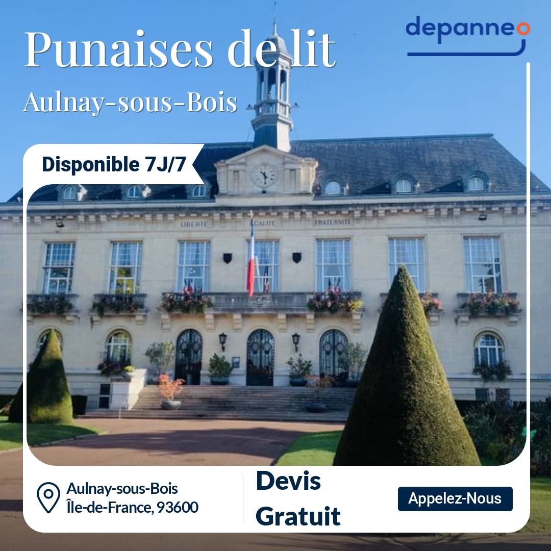 punaise de lit Aulnay-sous-Bois