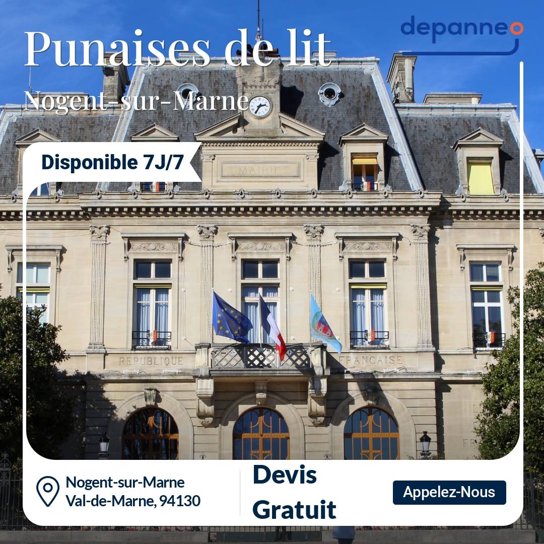 punaise de lit Nogent-sur-Marne