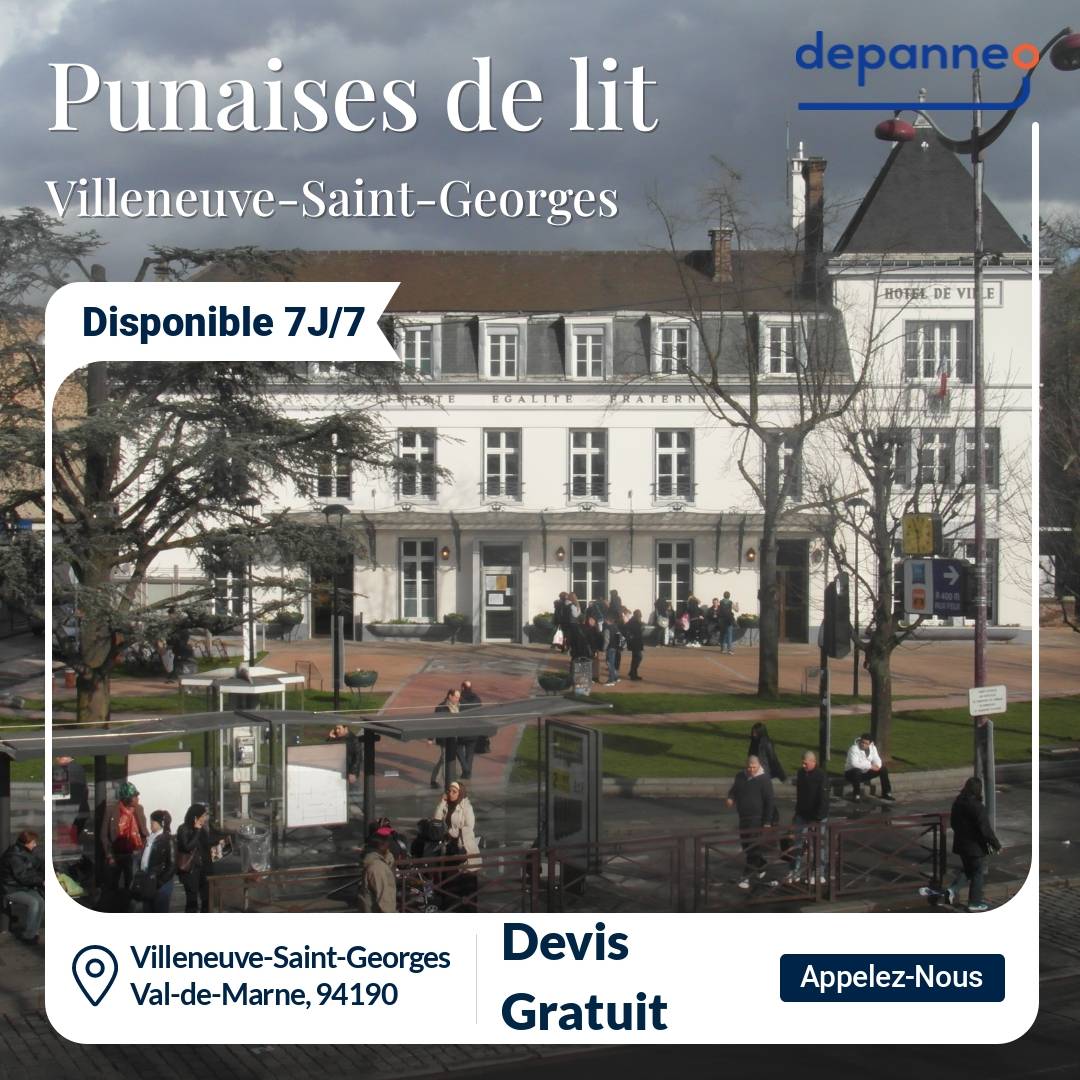 punaise de lit Villeneuve-Saint-Georges