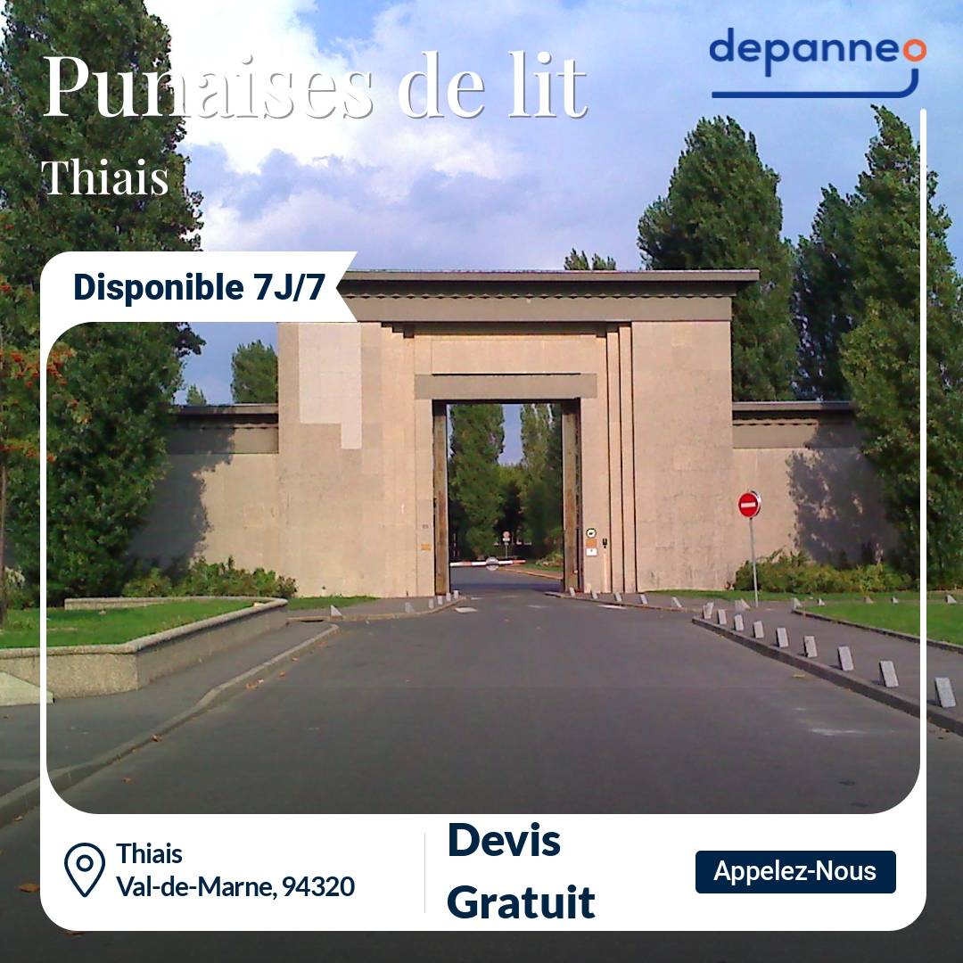 punaise de lit Thiais